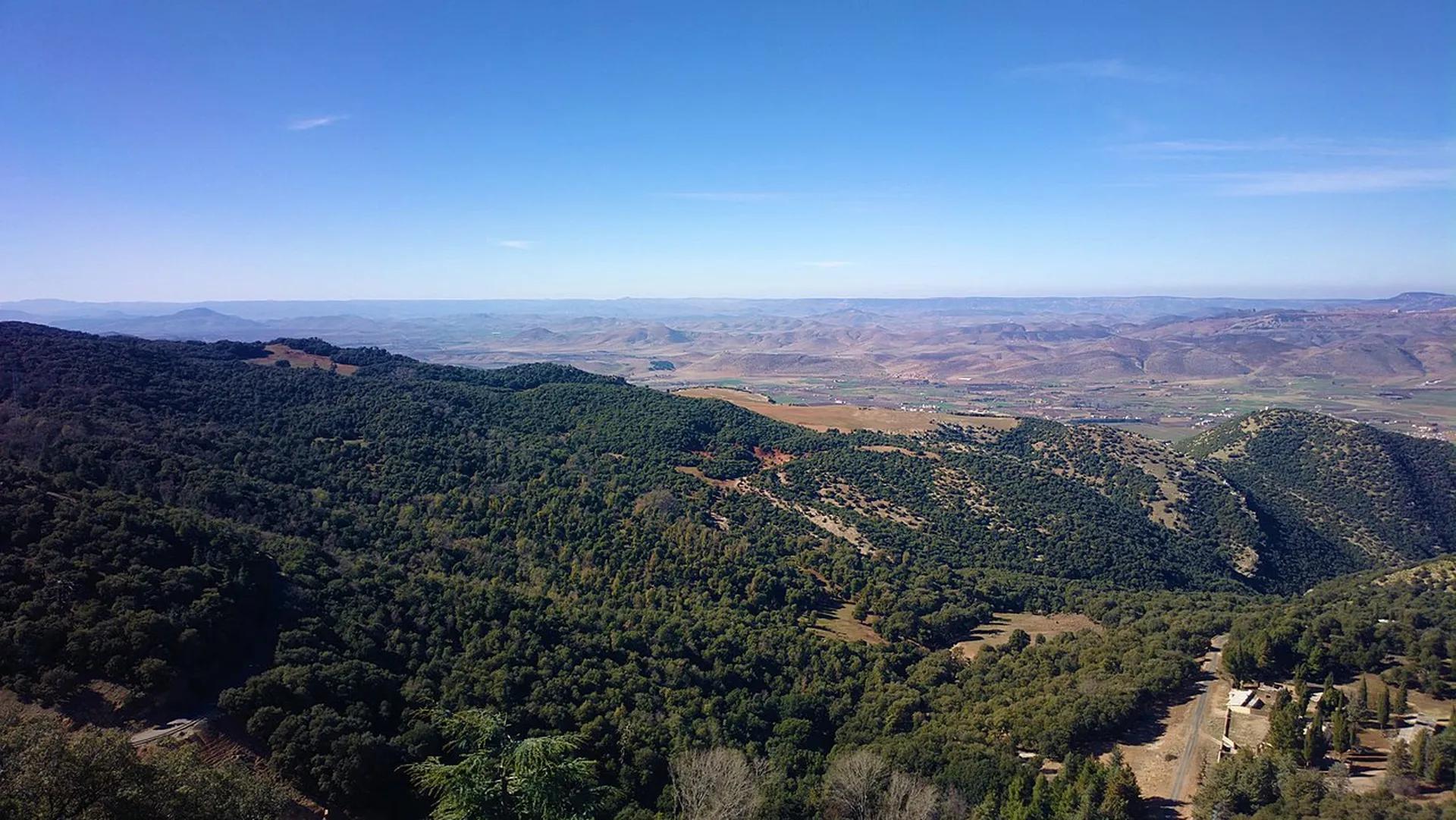 Panorama de forêts et de collines dans le parc national d’Ifrane, au Maroc.